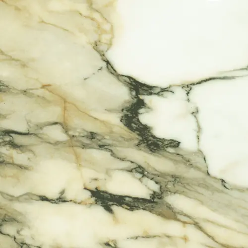 Calacatta Gold Paonazzo