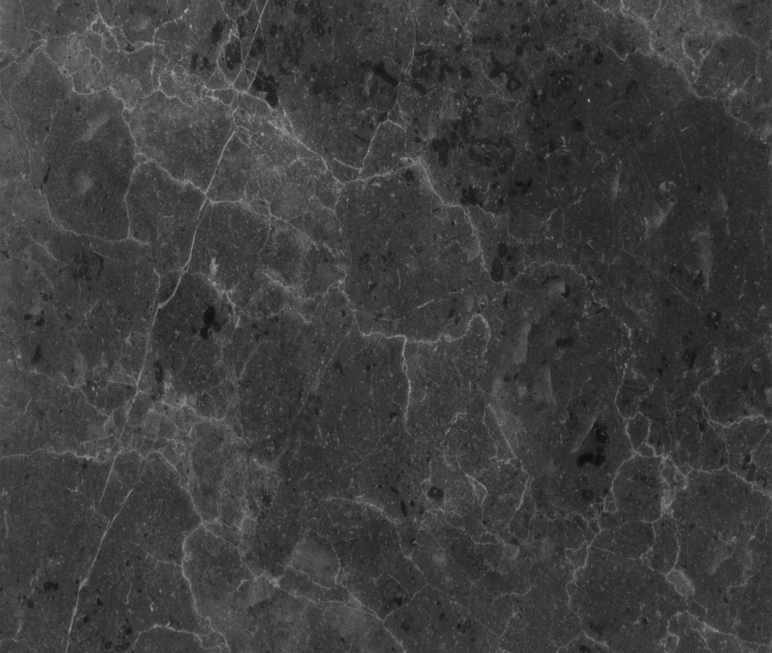 Best Black Granite for Kitchen and Walls in India